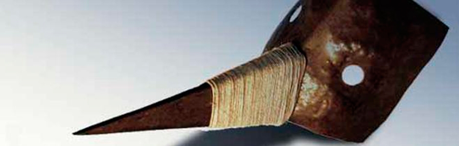Pinoxxio