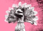 Enseñanza libre /   La Gatita Blanca