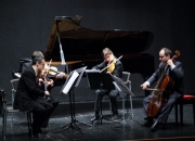 Conciertos de Estío