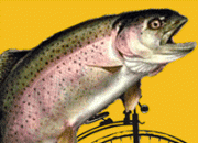 Igual que un pez necesita una bicicleta