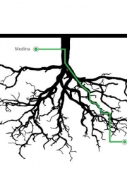 El caballero de Olmedo