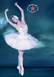 El lago de los cisnes